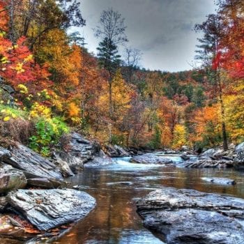 Top 10 Things to do this Fall in Pigeon Forge and Gatlinburg!