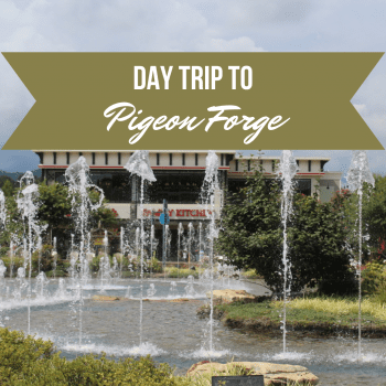Day Trip to Pigeon Forge: Must Do’s